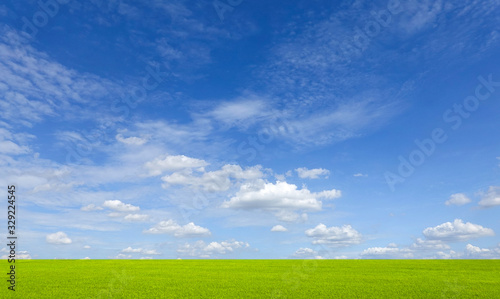 green field and clear sky background.