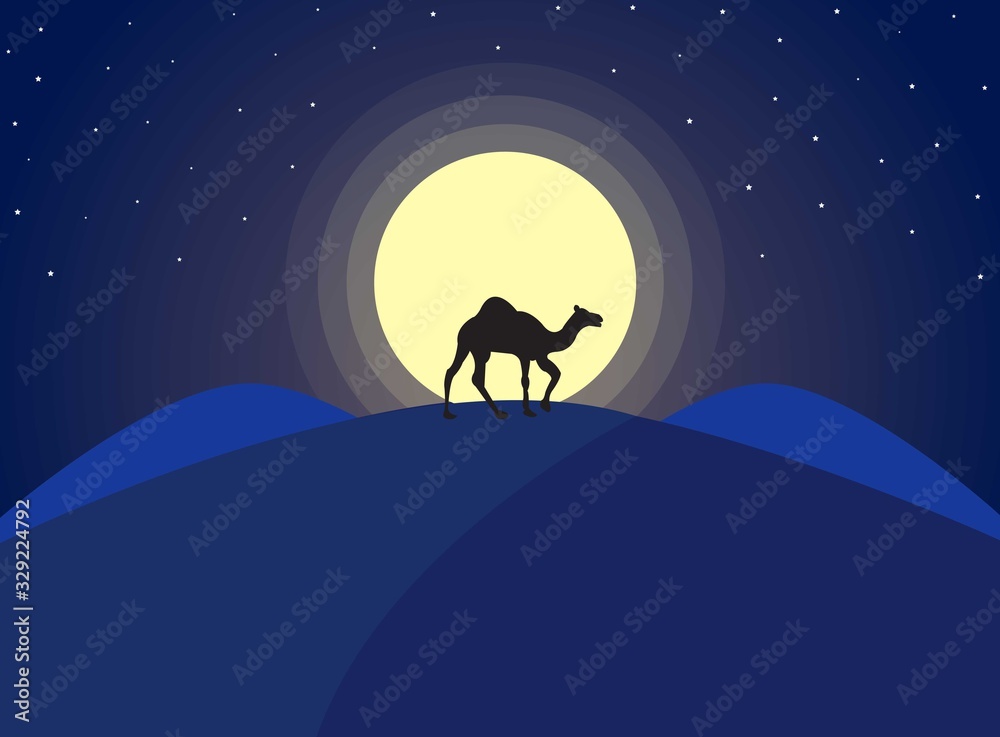 Fototapeta premium The night of the dessert