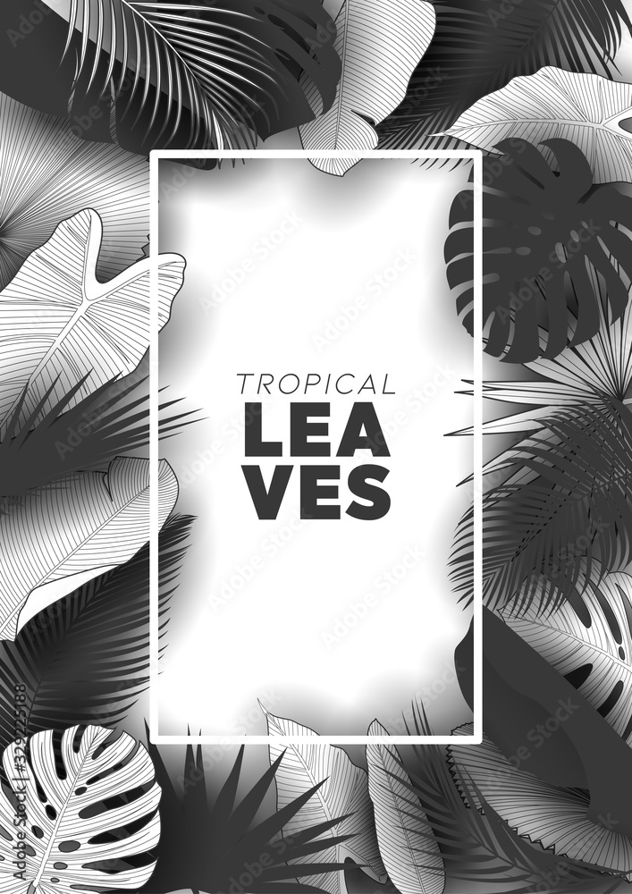 Fototapeta Tropical summer leaves background with jungle plants