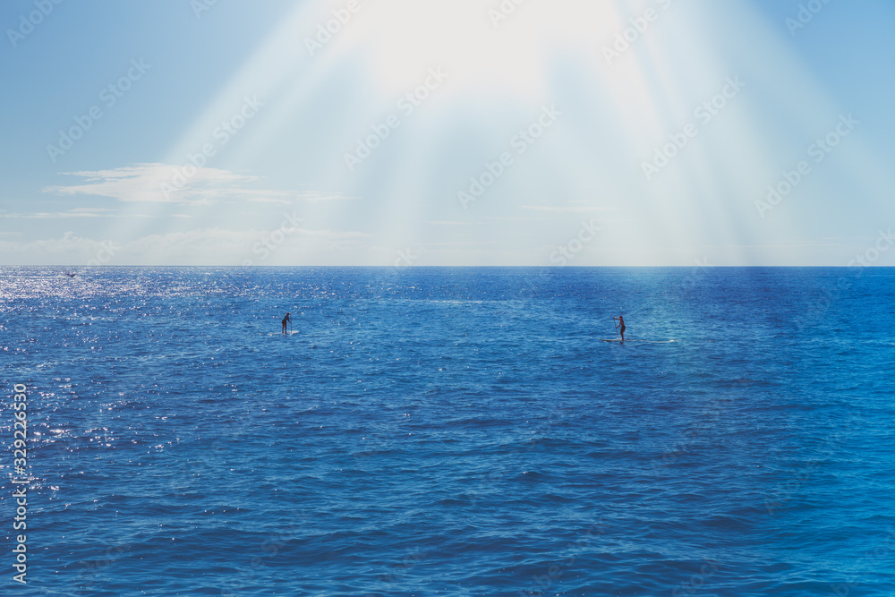 Sea Ocean Sky View Palm Trees Boating Sea Ocean Sky View Palm Trees Boating
