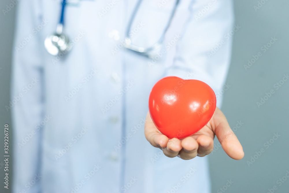 isolated close up of asian female doctor holding a red love heart onto her palms, representing checkup, diagnosing, health care, medical care, hospital care, wearing white lab coat and a stethoscope..