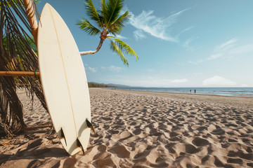 Surfboard and palm tree on beach background with people. Travel adventure and water sport. relaxation and summer vacation concept.