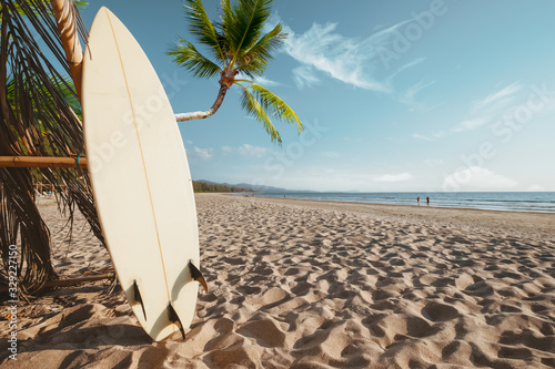 Surfboard and palm tree on beach background with people. Travel adventure and water sport. relaxation and summer vacation concept.