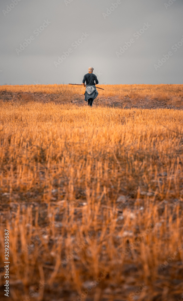 moody portrait of a solo traveller walking through colorful and endless fields alone by himself and enjoying the beautiful nature and silence and peace of it. moody portrait of a solo traveller walking through colorful and endless fields alone by himself and enjoying the beautiful nature and silence and peace of it.