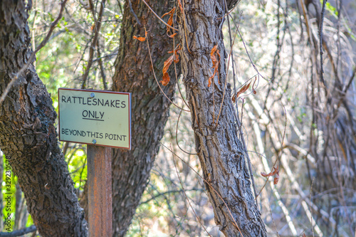 Rattlesnakes Only, Beyond This Point Sign at Boyce Thompson Arboratum, Superior, Arizona USA photo