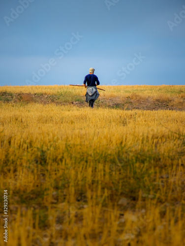 moody portrait of a solo traveller walking through colorful and endless fields alone by himself and enjoying the beautiful nature and silence and peace of it. © PR ART