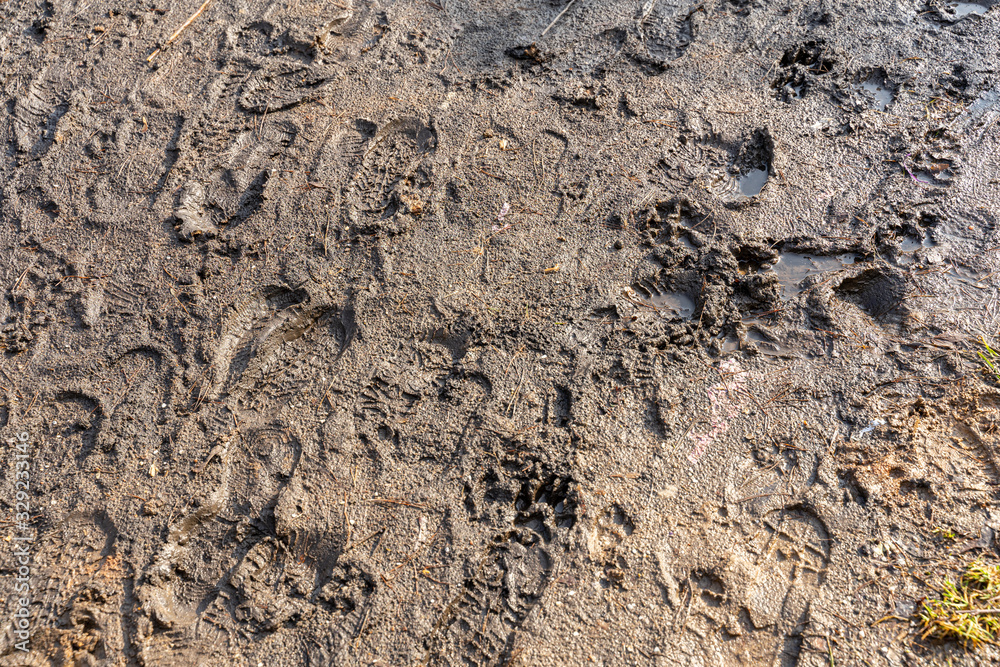 spring mud with traces of children's feet spring mud with traces of children's feet