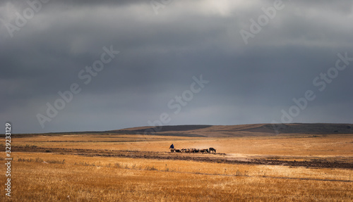Flock of sheep with shepherd in an amazing landscape in a moody day in countryside with super colorful sky and clouds.
