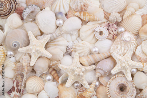 Starfishes, pearls, and amazing seashells close up © Valerii Evlakhov
