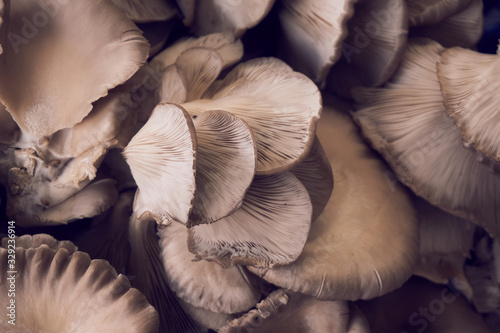 Fresh and organic mushroom in the local market