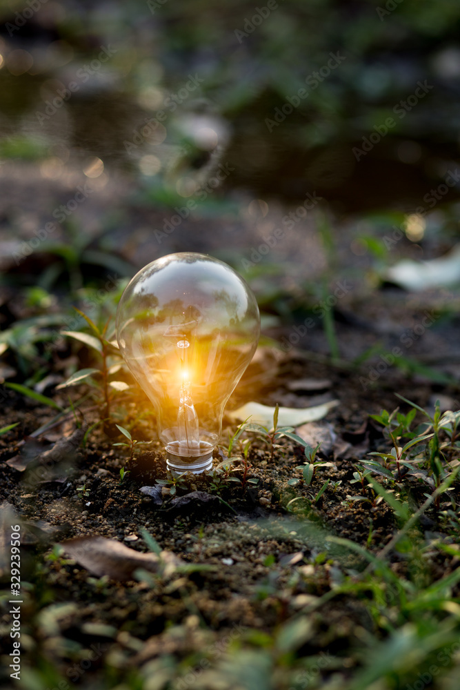 Hand holding light bulb against icons energy saving money on nature background Hand holding light bulb against icons energy saving money on nature background