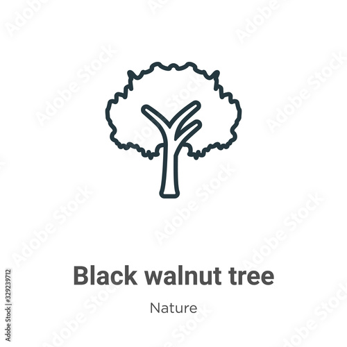Black walnut tree outline vector icon. Thin line black black walnut tree icon, flat vector simple element illustration from editable nature concept isolated stroke on white background