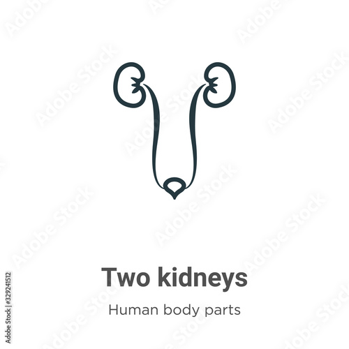 Two kidneys outline vector icon. Thin line black two kidneys icon, flat vector simple element illustration from editable human body parts concept isolated stroke on white background
