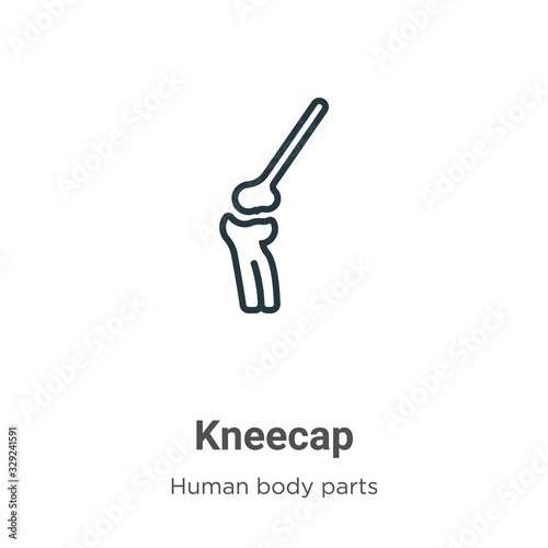 Kneecap outline vector icon. Thin line black kneecap icon, flat vector simple element illustration from editable human body parts concept isolated stroke on white background