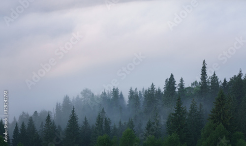 Clouds over wild misty landscape fir forest.