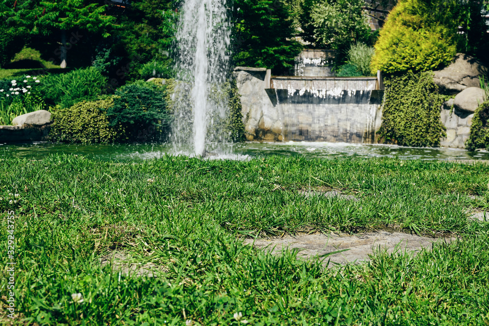 Naklejka premium Pool with fontain in the backyard garden