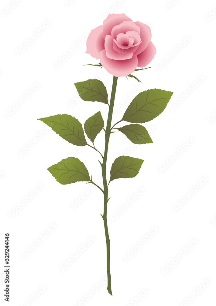 Fototapeta premium 【ベクター】 バラ 薔薇 一輪 植物 ピンク かわいい 白背景 優しくかわいいピンク色の美しい一輪のバラのイラスト素材