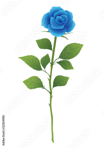 青い薔薇