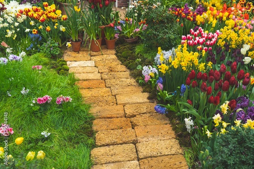 Fototapeta Naklejka Na Ścianę i Meble -  stone path in the garden with a flower bed , many colorful flowers on the edges of the path,