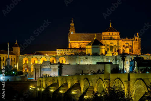 Mosque-Cathedral and the Roman Bridge in Cordoba  Andalusia  Spain at night