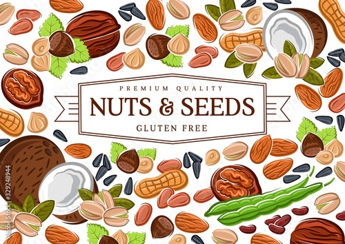 Nuts, cereal grains, beans and seeds poster, gmo free healthy food vector peanut, coconut and hazelnut, pistachio or almond walnut and legume bean pod, macadamia or filbert nut and pumpkin, sunflower
