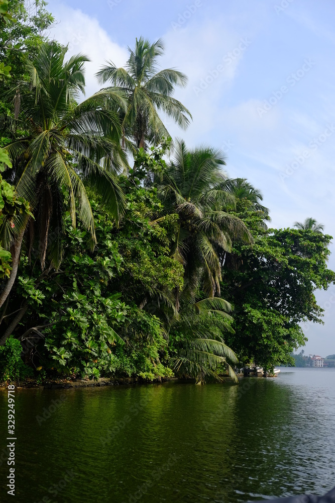 tropical island with palm trees tropical island with palm trees