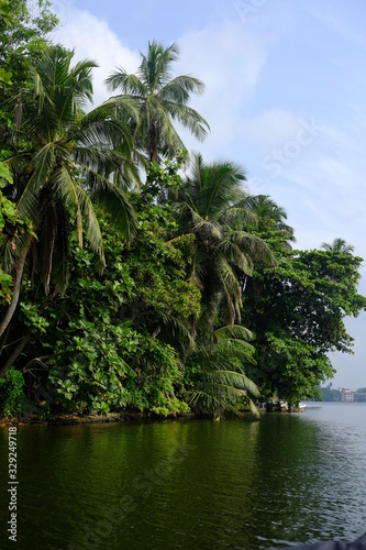 tropical island with palm trees © Tatyana Olina