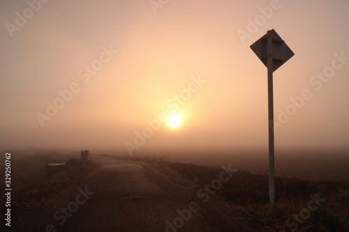 霧と道路標識