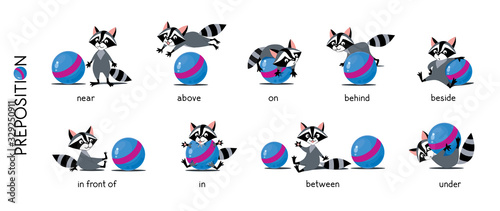 Preposition of place set. Raccoon and ball