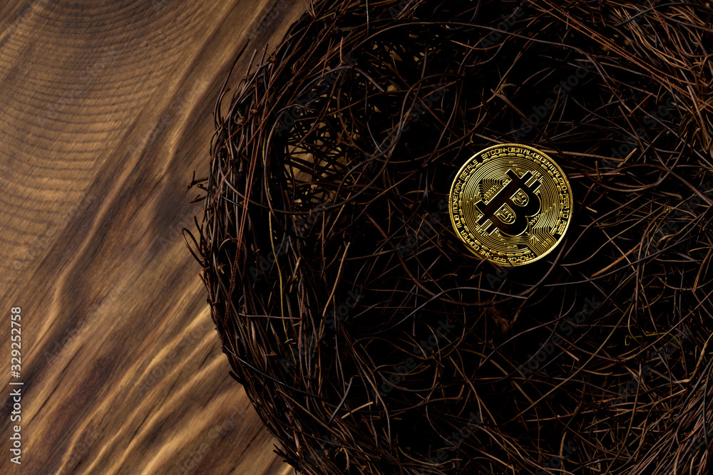 golden bitcoin in a bird nest , close up . Copy space golden bitcoin in a bird nest , close up . Copy space