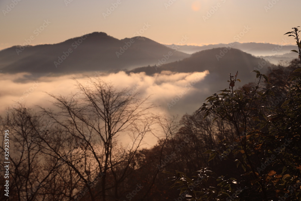 Obraz premium 鎌倉山の雲海