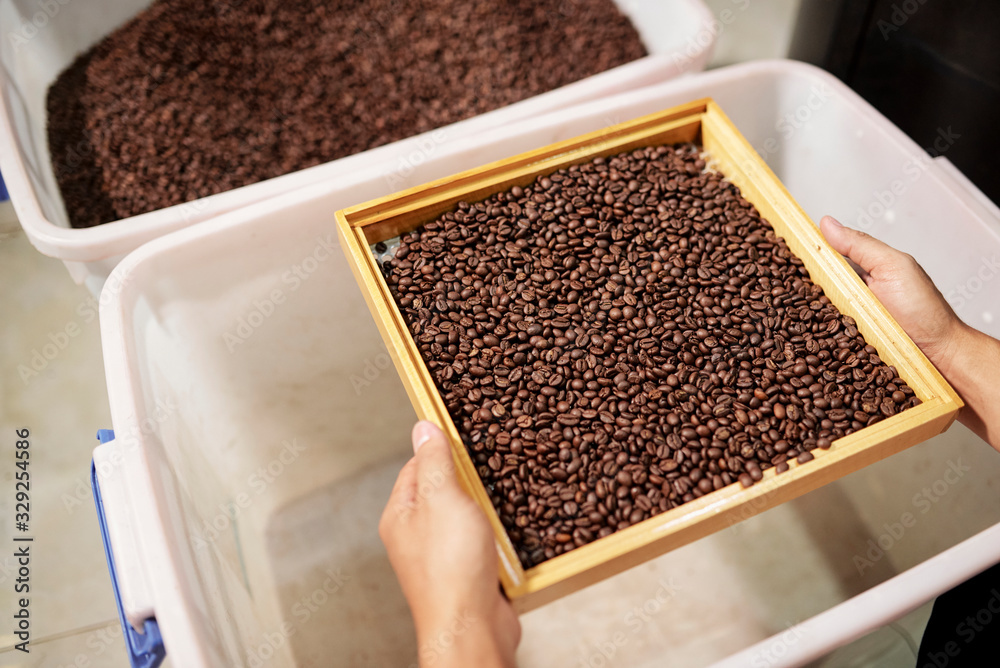 Close-up image of worker holding wooden tray with roasted coffee beans, view from above Close-up image of worker holding wooden tray with roasted coffee beans, view from above