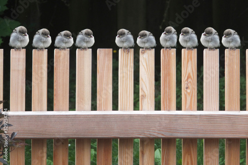 Photos Leerer Platz