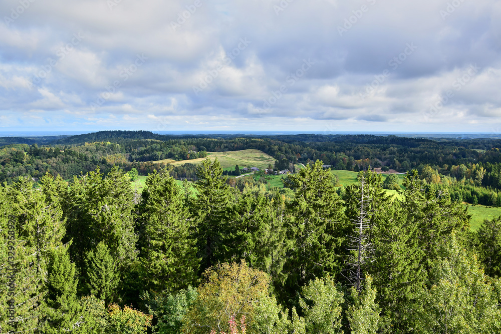 Haanja / Vorumaa, Estonia - View of the forest from the highest Baltic mountain Suur-Munamagi, tall green spruces, meadows and autumn forest in the background, gray clouds in the sky in the daytime.