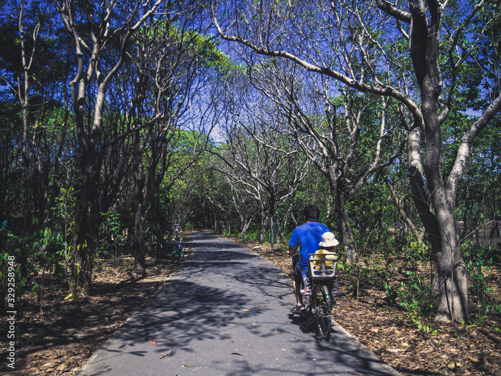 Father takes children to ride bicycles in the park. Father takes children to ride bicycles in the park.