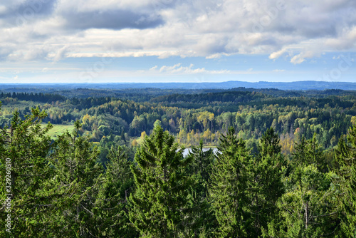 Haanja / Vorumaa, Estonia - View of the forest from the highest Baltic mountain Suur-Munamagi, autumn forest, green spruce, gray clouds in the sky in the daytime. © Ivars