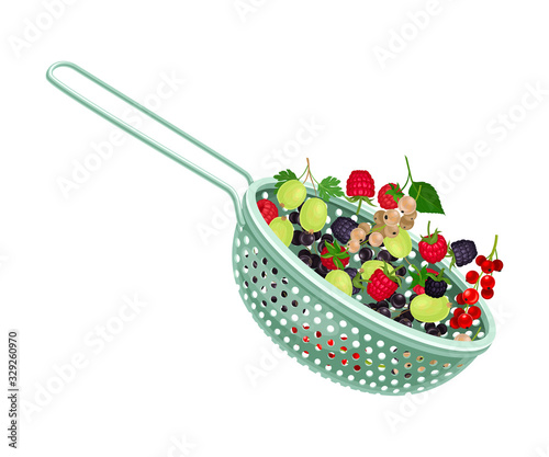 Plastic Kitchen Colander or Strainer with Berries Inside Vector Illustration
