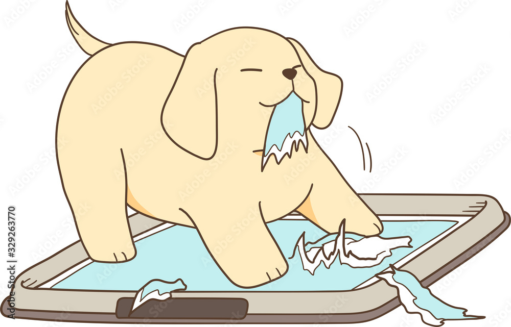 ゴールデンレトリバーの子犬 トイレシートを破る Stock Vector Adobe Stock