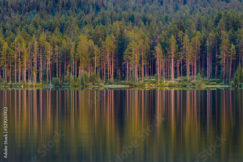 Forest reflections on a still lake. Lofsdalen, Sweden photo