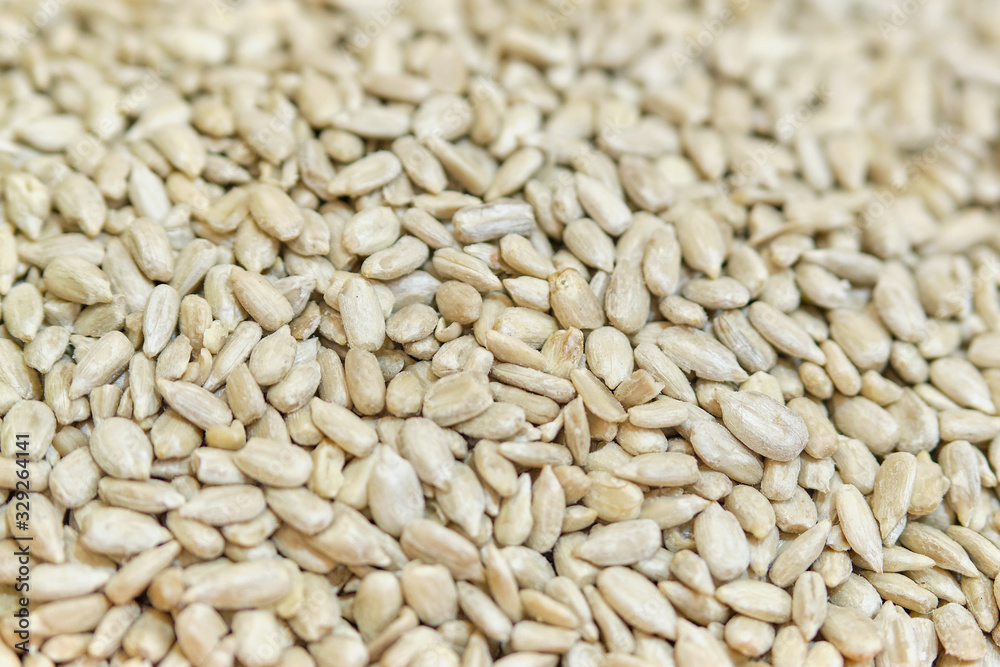 Background and texture of sunflower seeds. Background and texture of sunflower seeds.