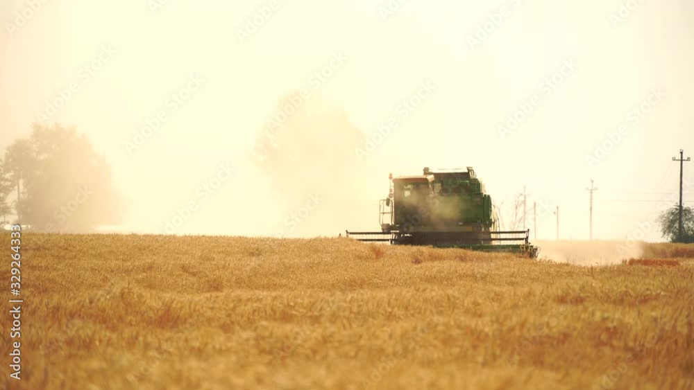 Combine harvester harvests grain in the field at sunset. Behind him is a cloud of dust. Slow motion Combine harvester harvests grain in the field at sunset. Behind him is a cloud of dust. Slow motion