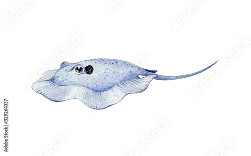 Blue stingray fish watercolor illustration. Hand drawn aquatic tropical stingray cartoon image. Cute underwater sea and aquarium creature. Funny bizarre fish isolated on white background.