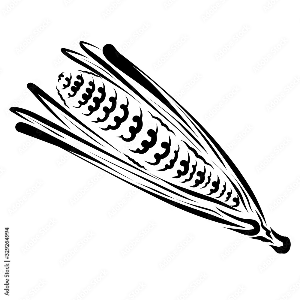 open corncob with leaves, black abstract pattern open corncob with leaves, black abstract pattern