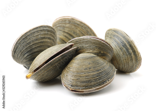 Fotografía fresh clams on white background