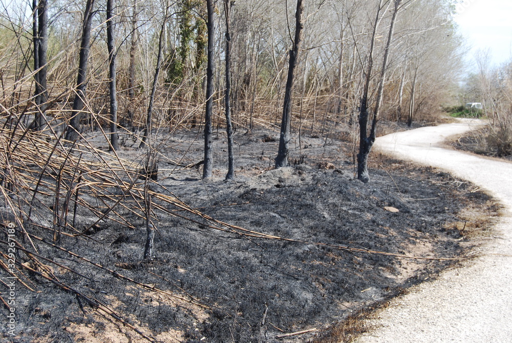 Wildfire Disaster in Valencia Spain Wildfire Disaster in Valencia Spain
