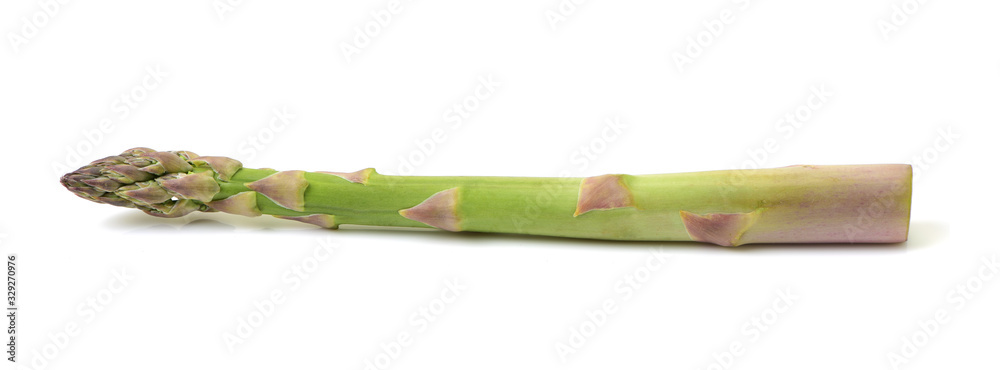 Fototapeta premium Asparagus on white background