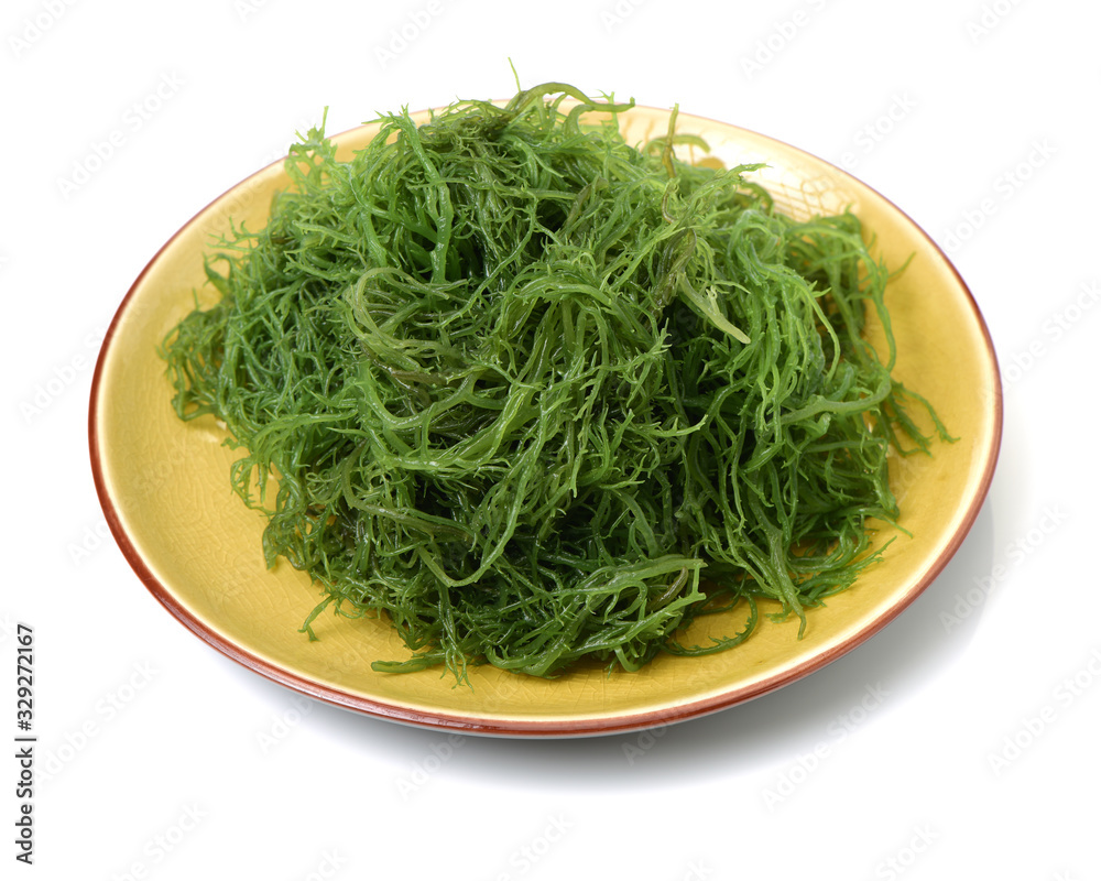 Laminaria (Kelp) Seaweed Isolated on White Background Laminaria (Kelp) Seaweed Isolated on White Background