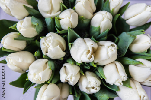 Bouquet of white tulips