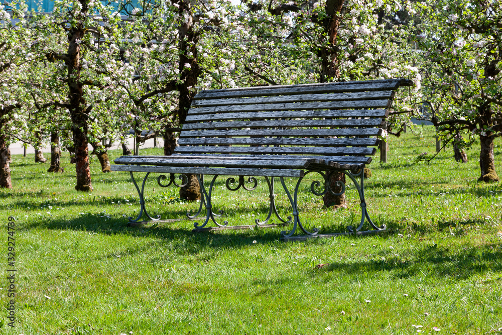 Seele baumeln lassen auf einer Bank im Obstgarten Seele baumeln lassen auf einer Bank im Obstgarten
