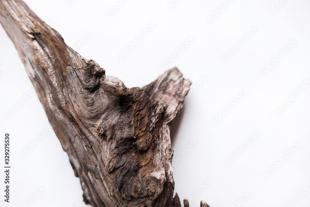 Isolated on white driftwood branch, old wood, aged driftwood for aquarium.